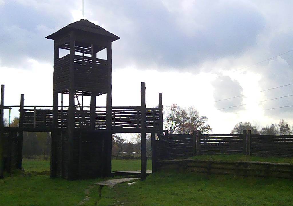 Zdjęcie 3