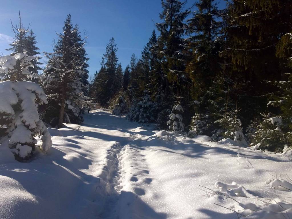Zdjęcie 3