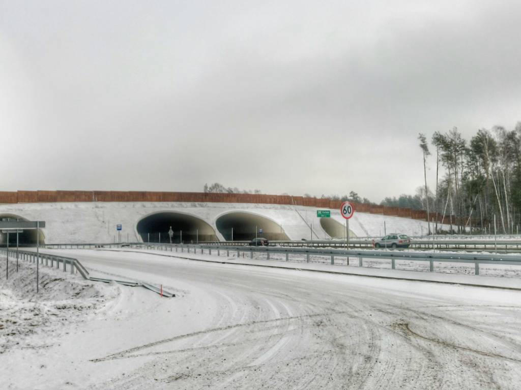 Zdjęcie 6