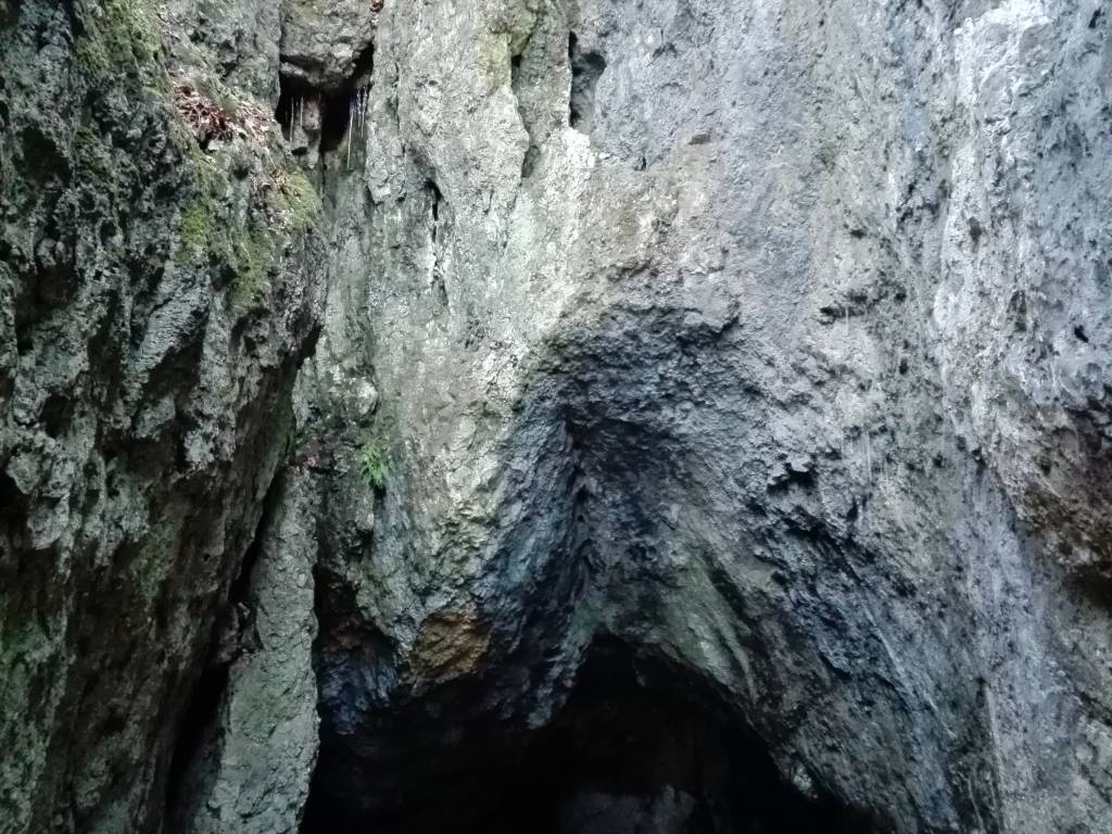 Zdjęcie 5