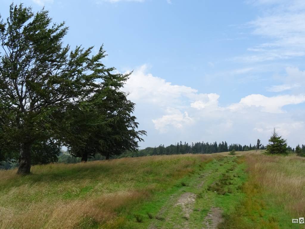 Zdjęcie 6