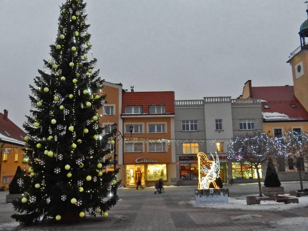 Zdjęcie 3