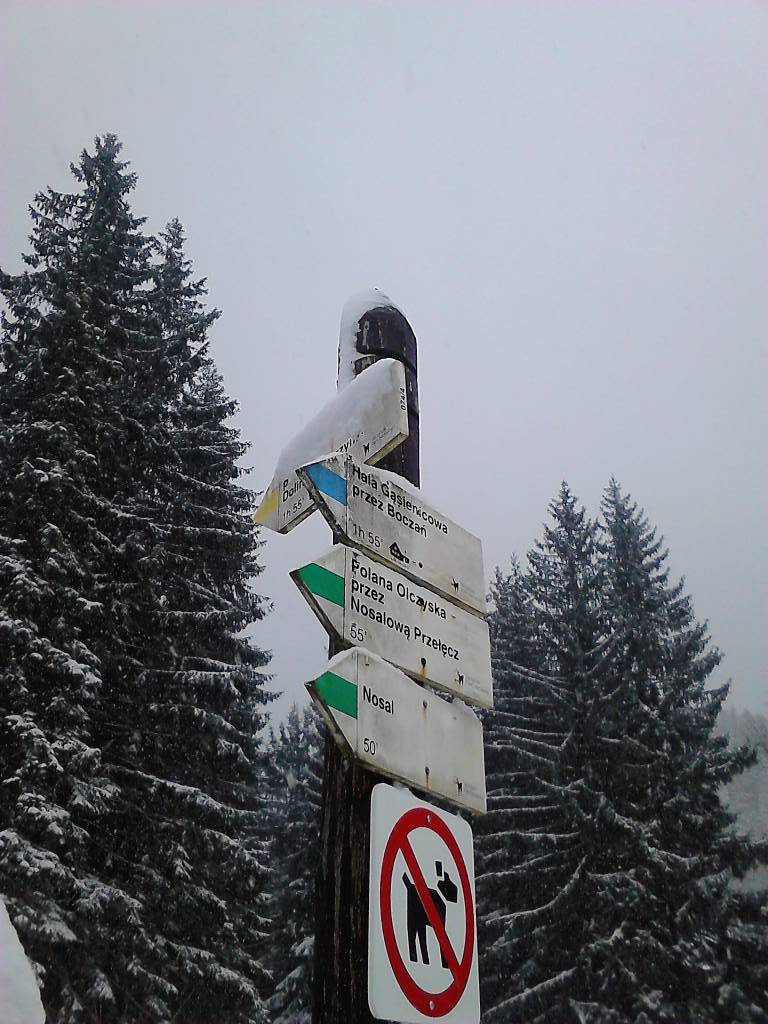 Zdjęcie 2
