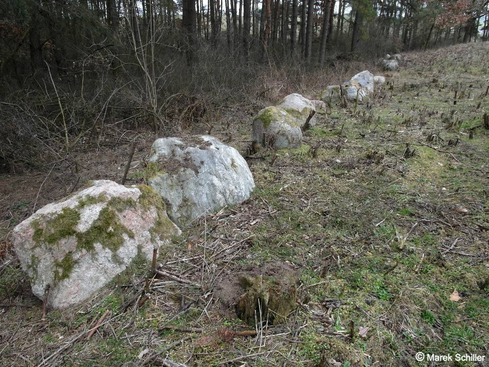 Zdjęcie 5