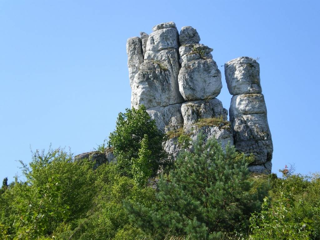 Zdjęcie 6