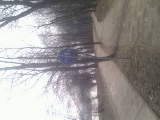 Zdjęcie 6