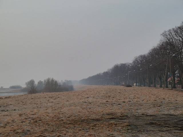 Zdjęcie 6
