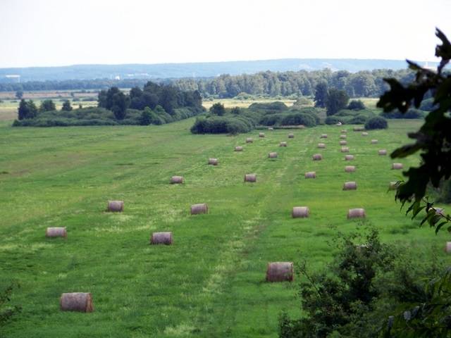 Zdjęcie 3