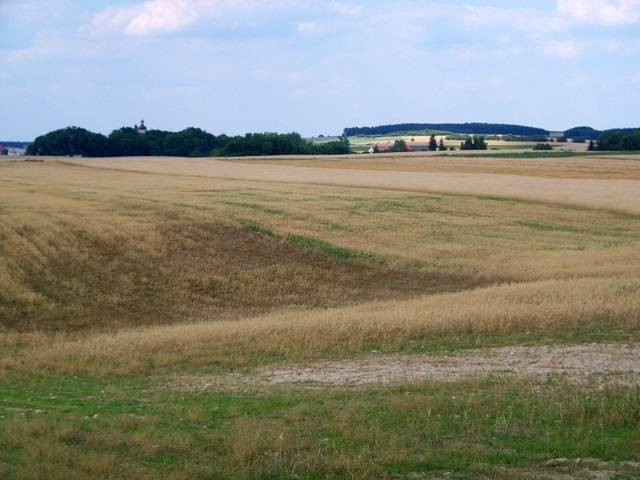 Zdjęcie 5