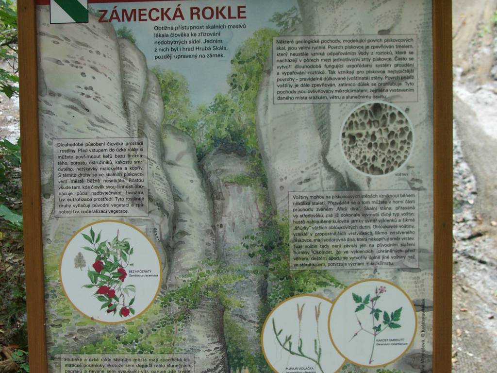 Zdjęcie 2