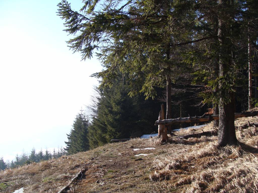 Zdjęcie 6