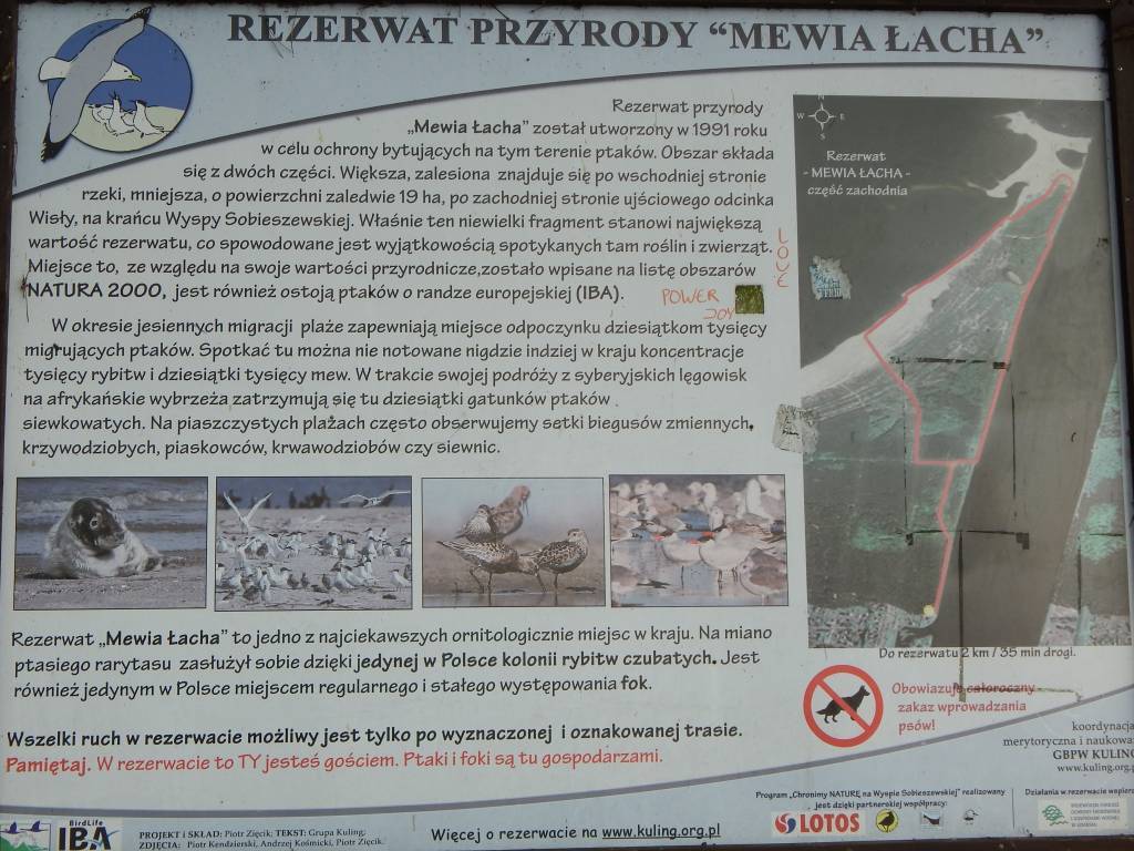 Zdjęcie 2