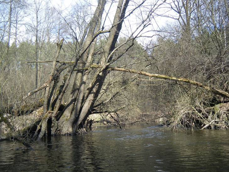 Zdjęcie 6