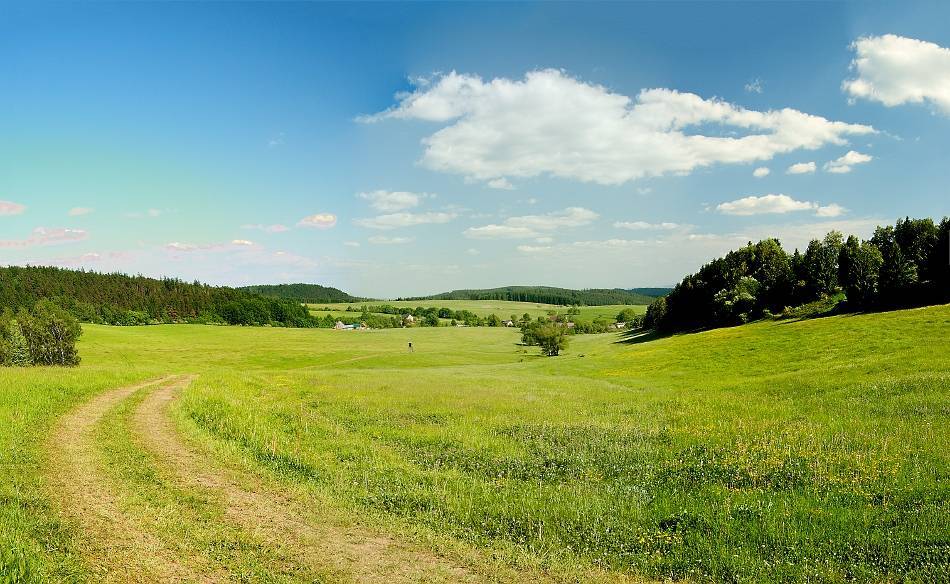 Zdjęcie 6