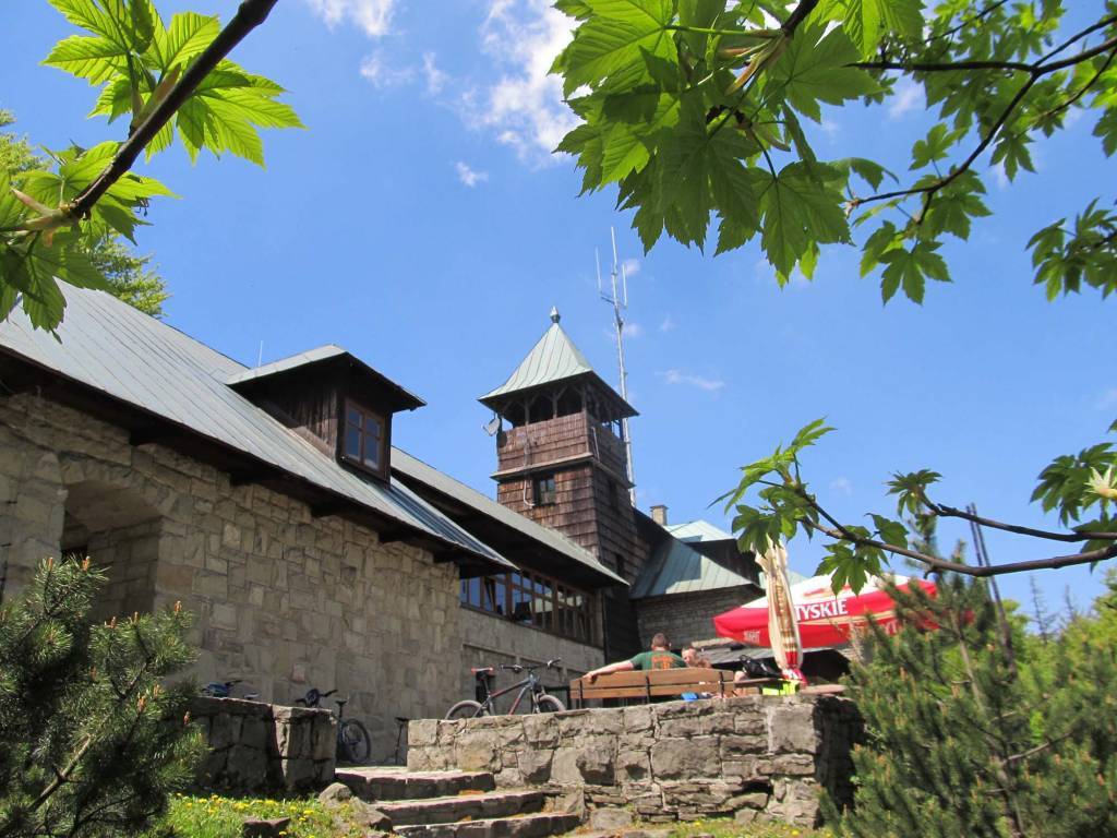 Photo 6
