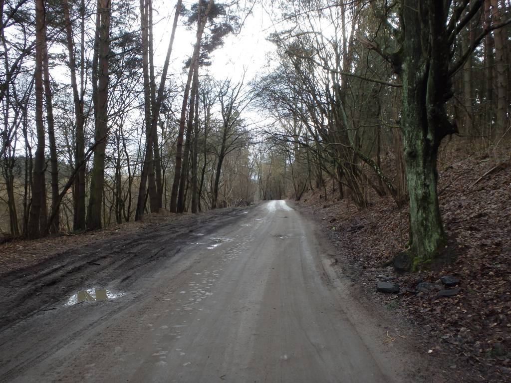Zdjęcie 6