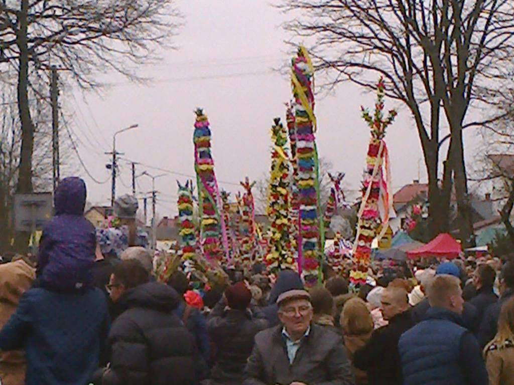 Zdjęcie 3