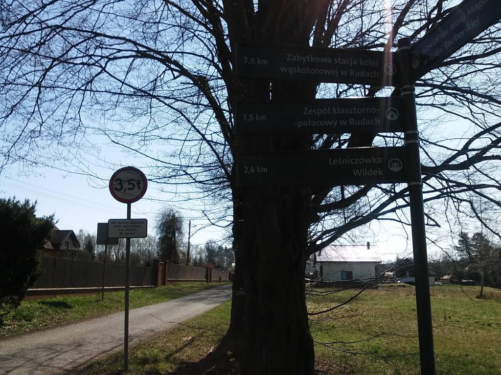 Zdjęcie 6