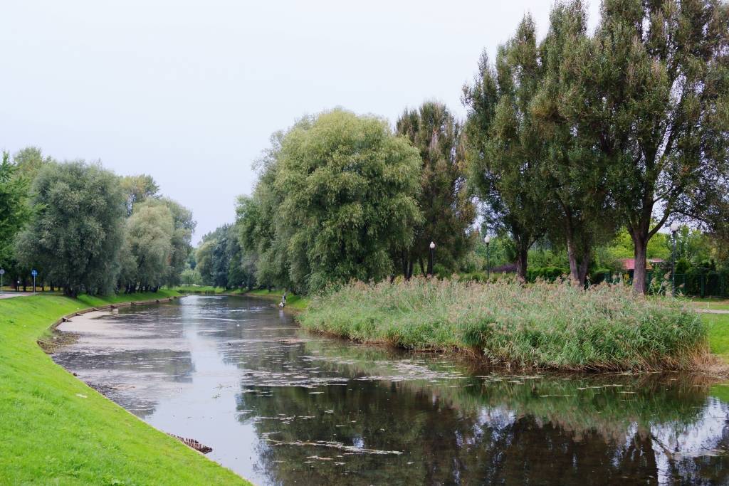 Zdjęcie 3