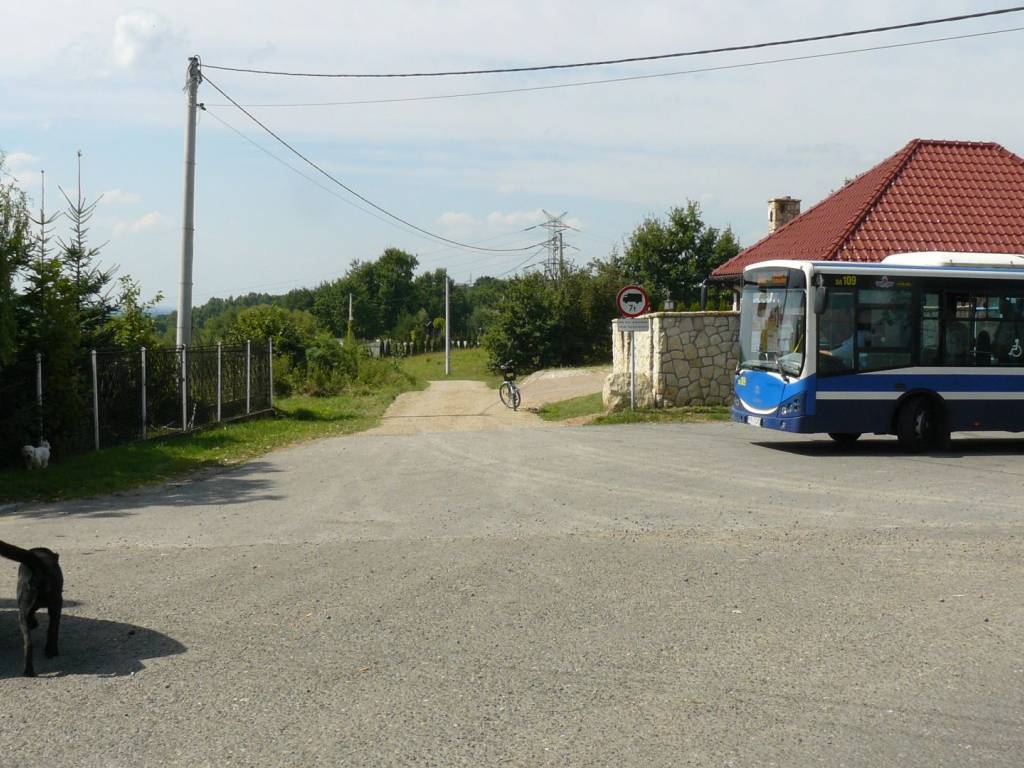 Zdjęcie 3