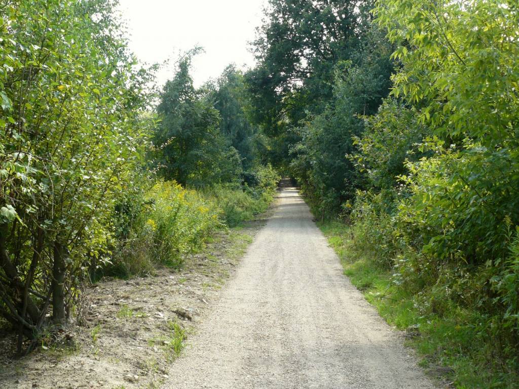 Zdjęcie 5
