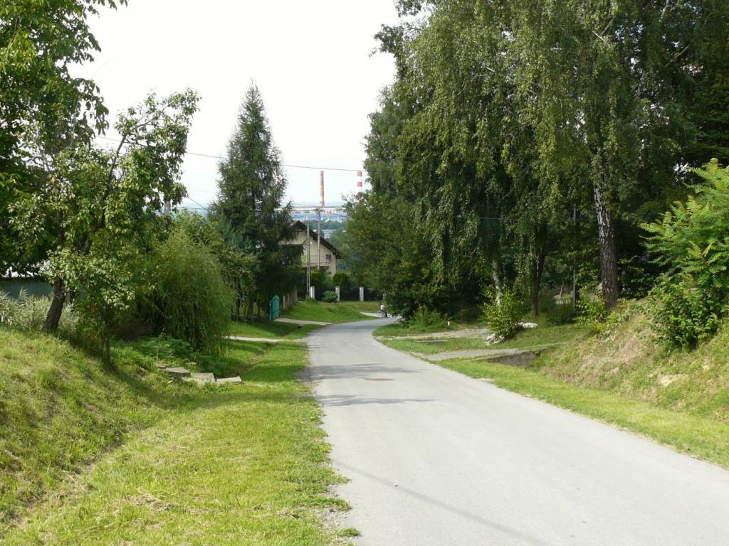 Zdjęcie 6