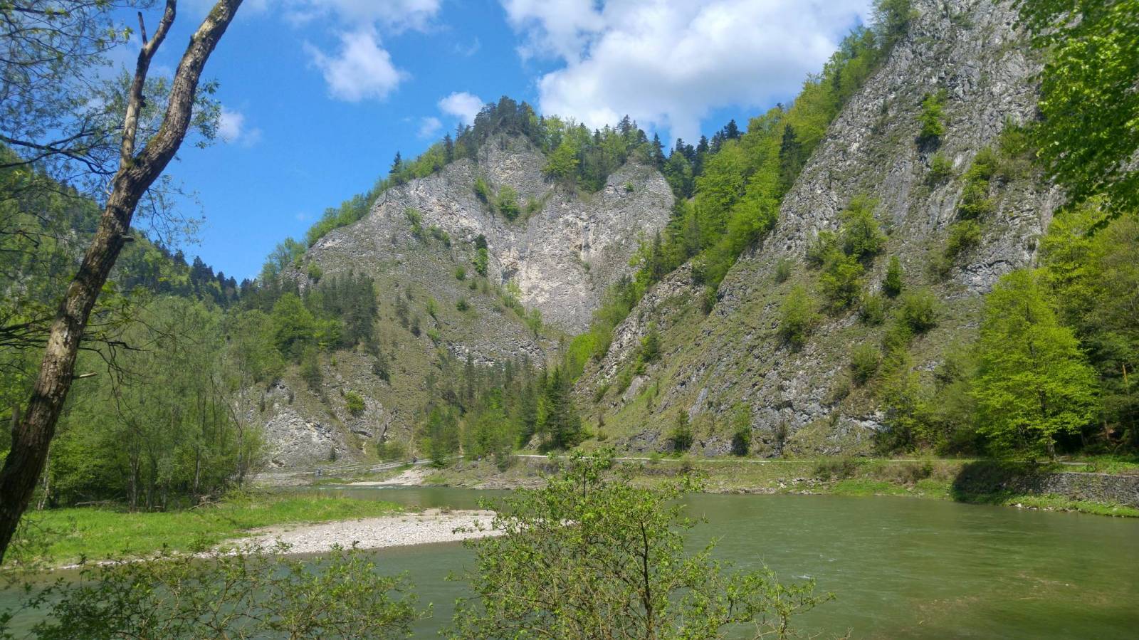 Zdjęcie 2