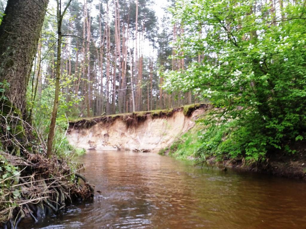 Zdjęcie 6
