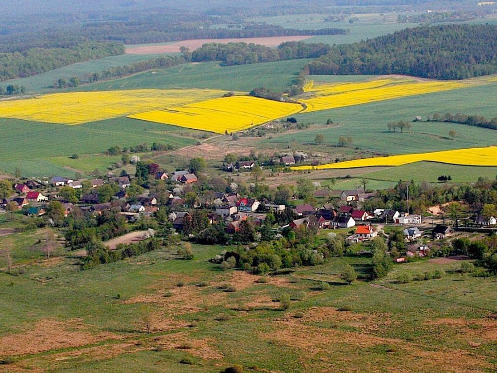 Zdjęcie 5