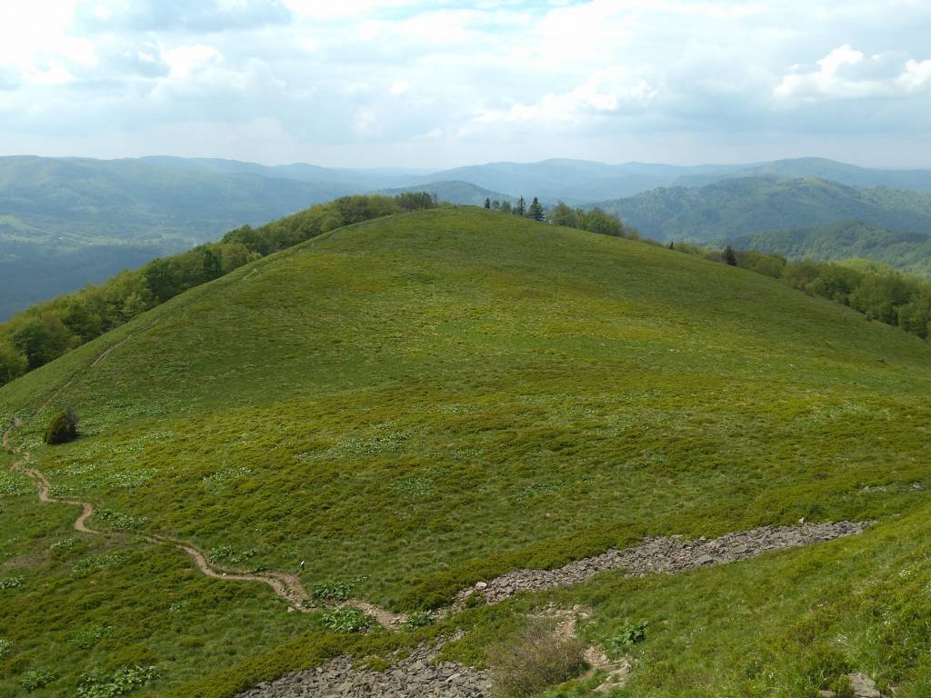 Zdjęcie 4