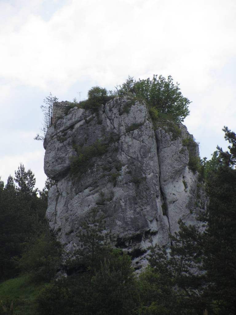 Zdjęcie 3