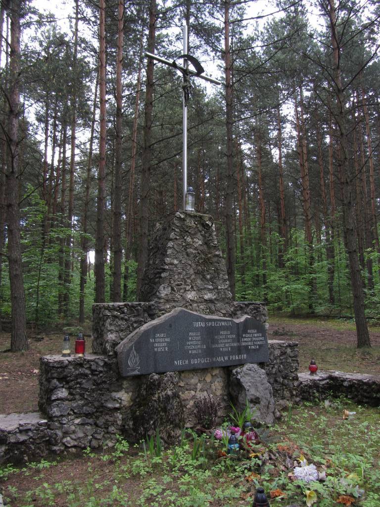 Zdjęcie 5