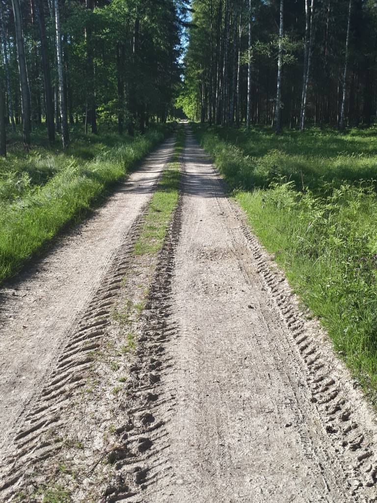 Zdjęcie 6