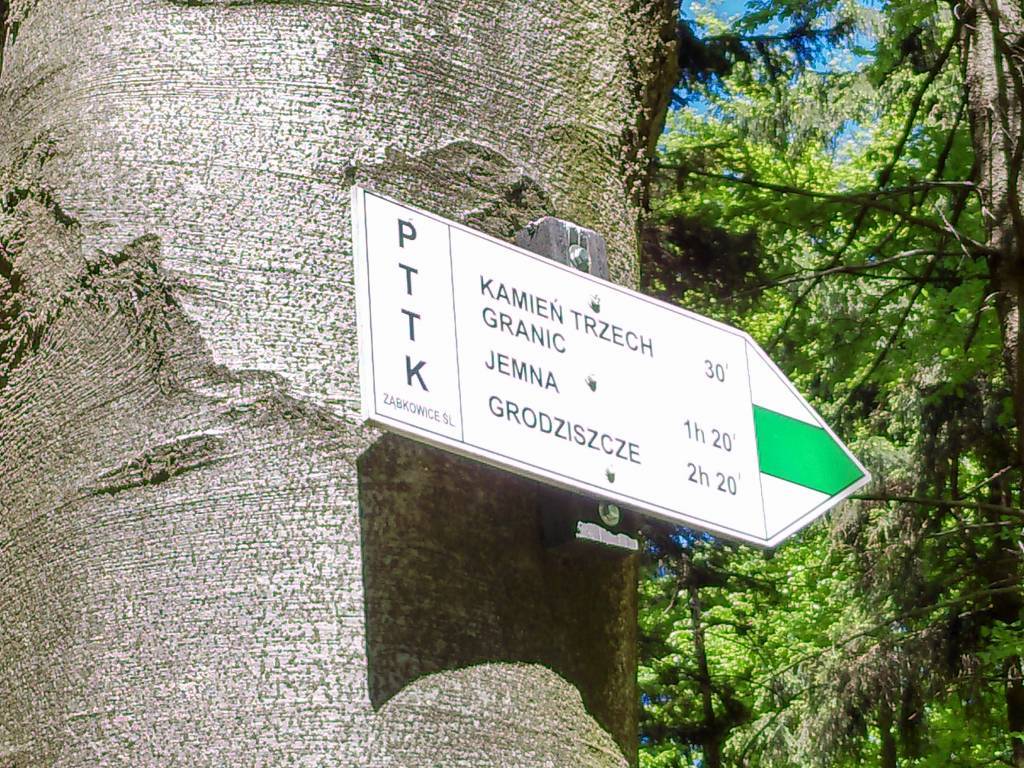 Zdjęcie 5