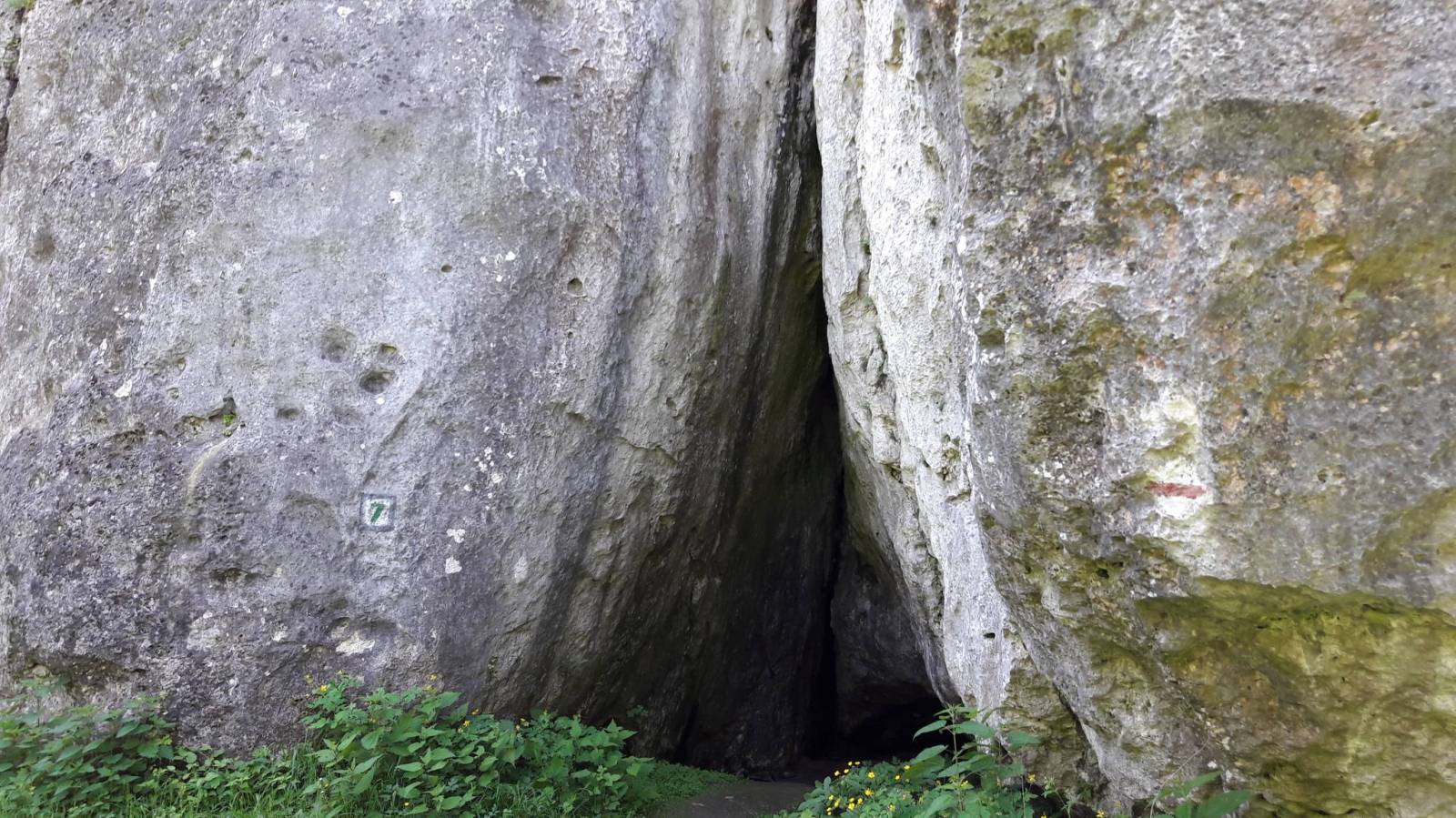 Zdjęcie 3