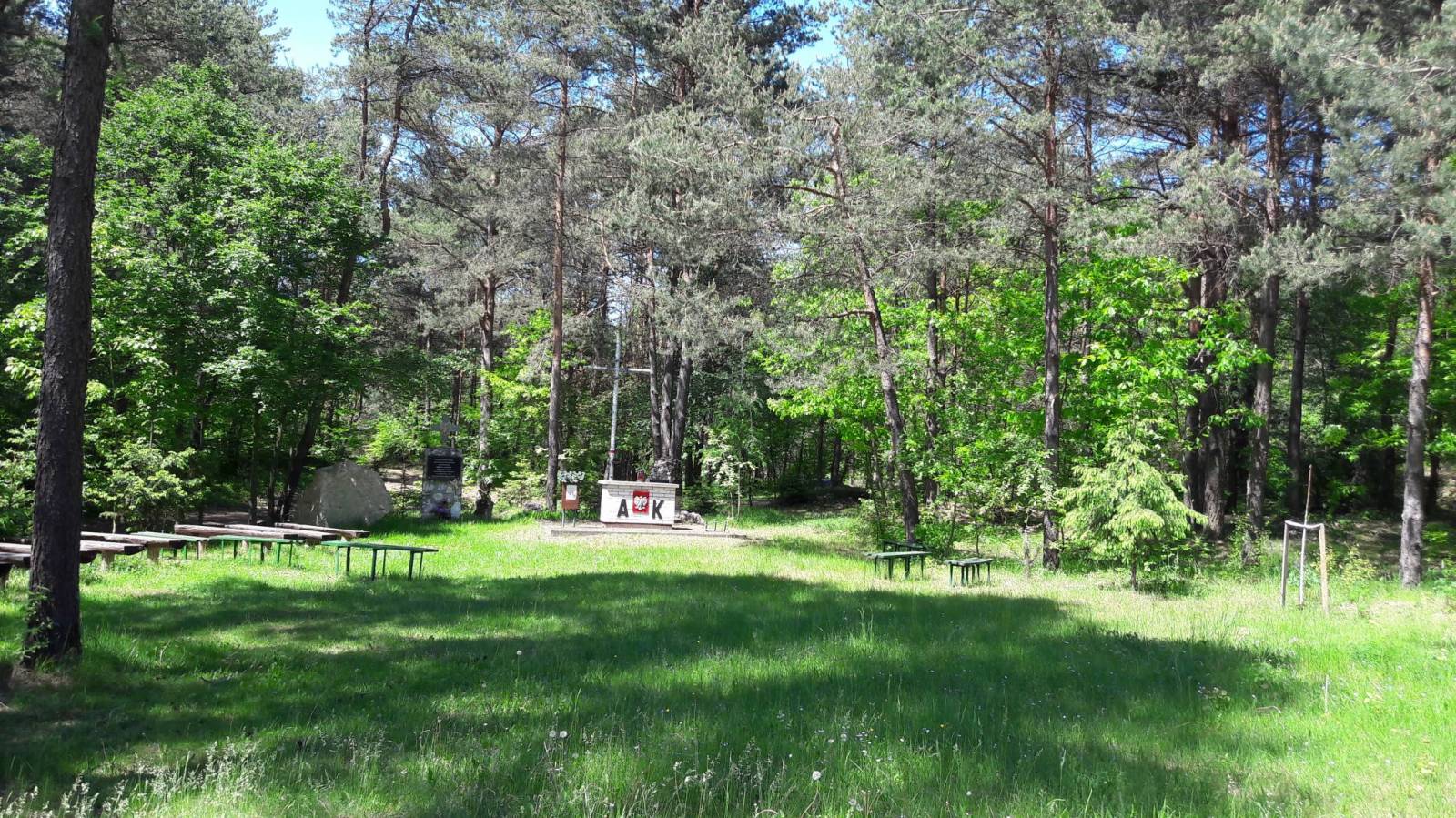 Zdjęcie 5