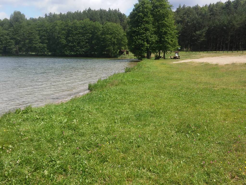 Zdjęcie 6