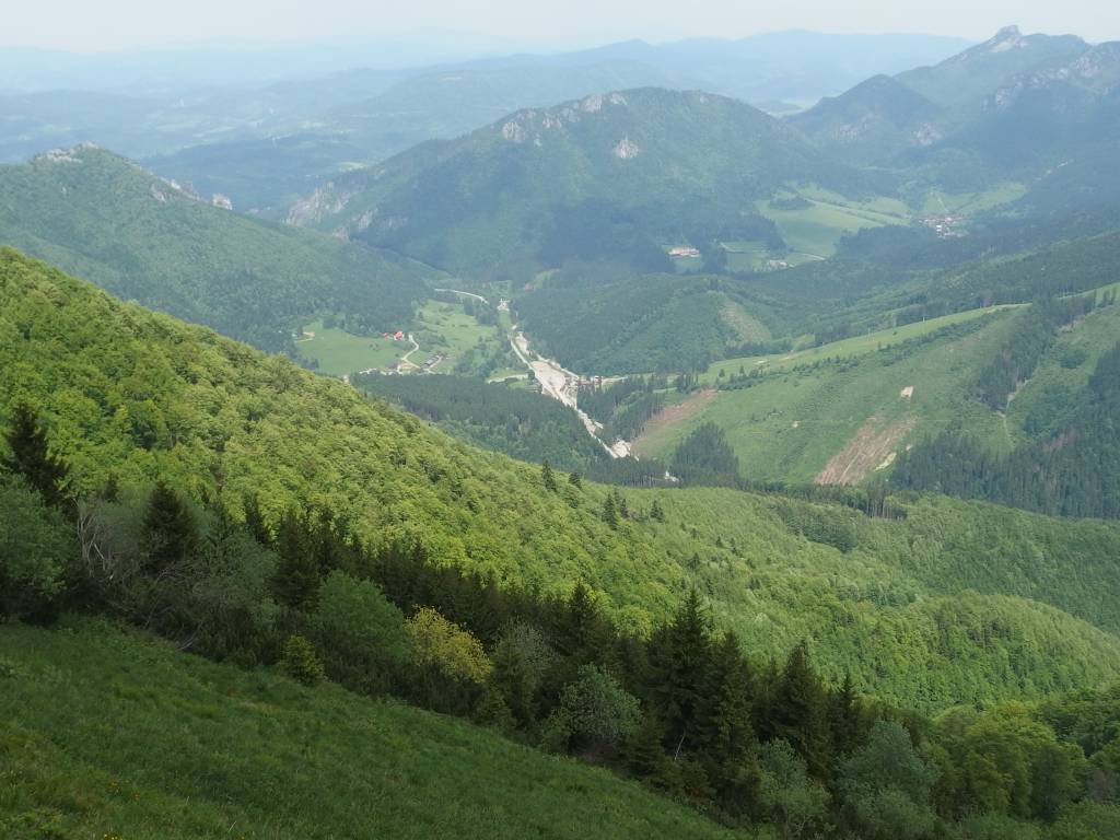 Zdjęcie 4