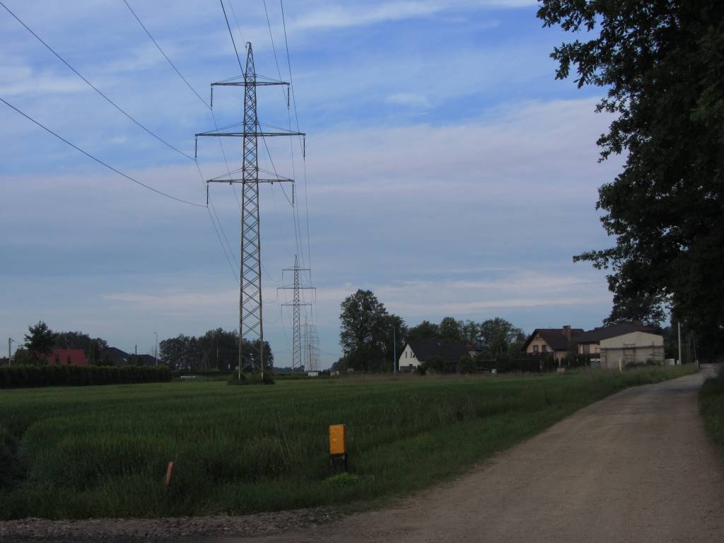 Zdjęcie 5