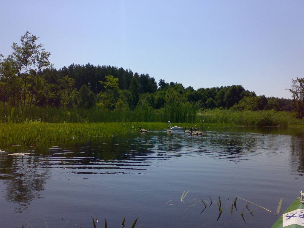 Zdjęcie 6