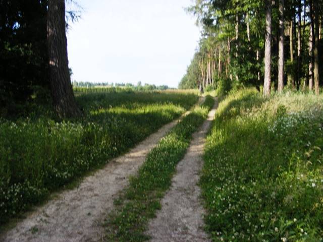 Zdjęcie 4