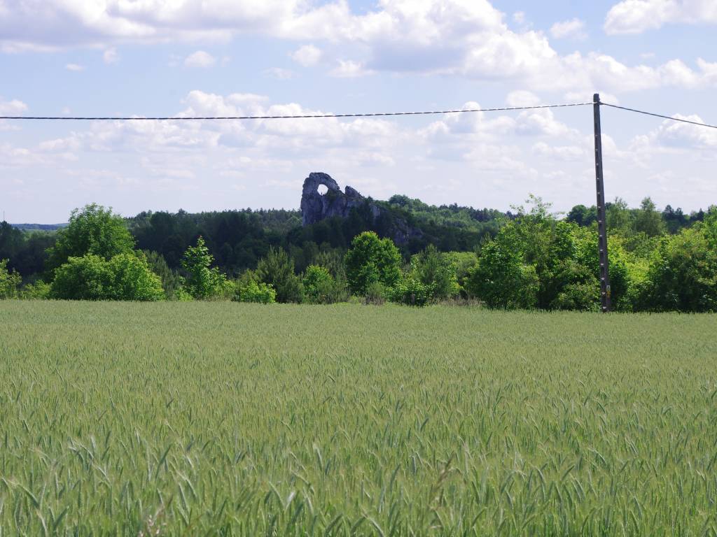 Zdjęcie 3