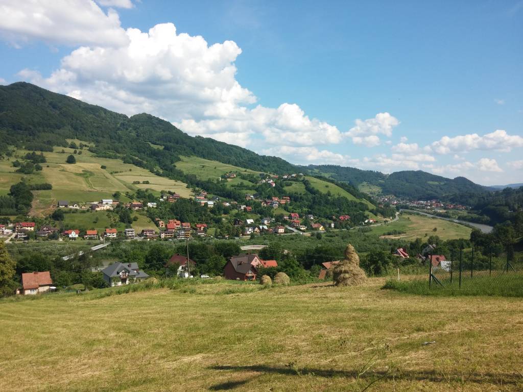 Zdjęcie 5