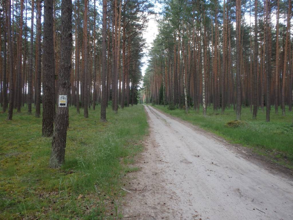 Zdjęcie 2
