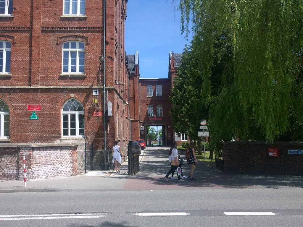 Zdjęcie 6
