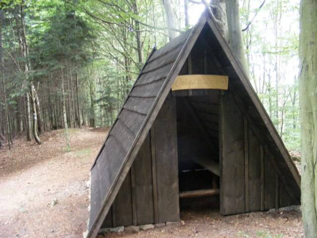 Zdjęcie 5