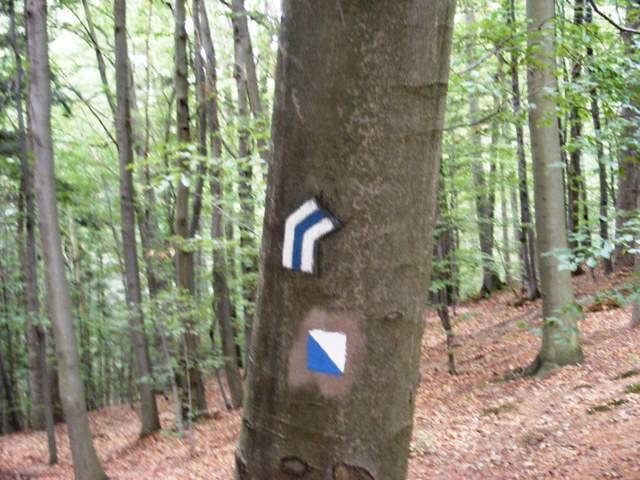Zdjęcie 6