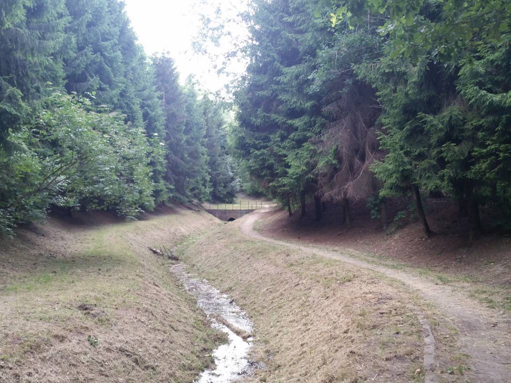 Zdjęcie 4