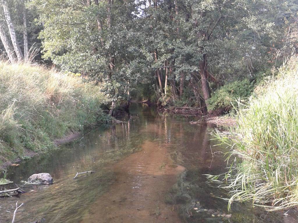 Zdjęcie 6