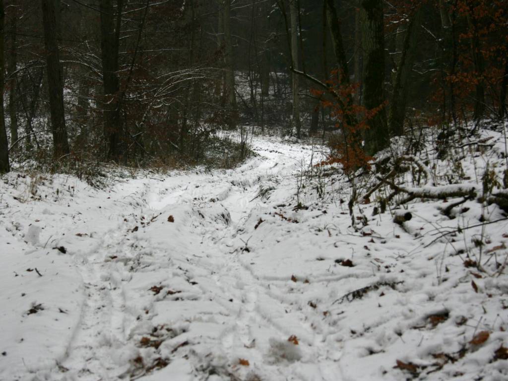 Zdjęcie 3